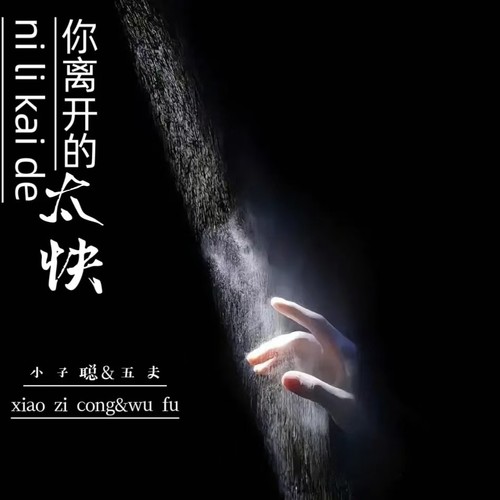 你离开的太快