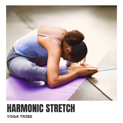 Harmonic Stretch: Relaxing Yoga