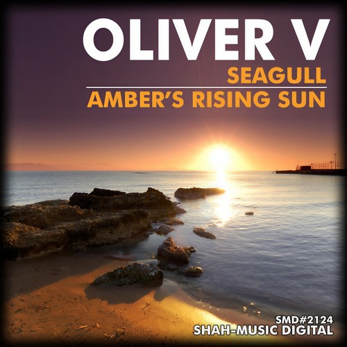 Seagull(Chillout Mix) - Oliver V.