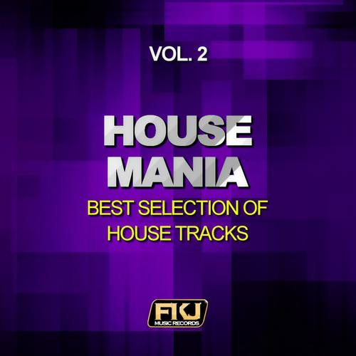 House Mania, Vol. 2 (Best Selection of House Tracks)