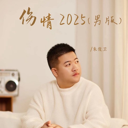 伤情2025（男版）