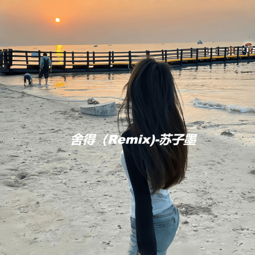 舍得 (Remix)