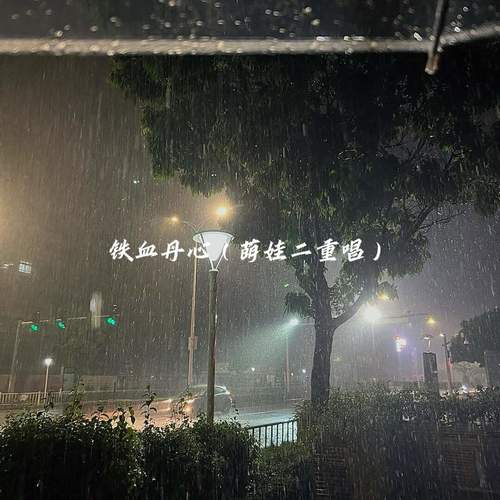 铁血丹心 (萌娃二重唱)