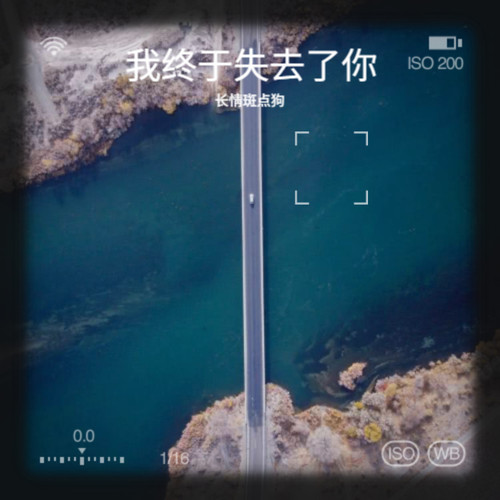 我终于失去了你