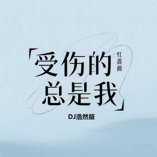 受伤的总是我 (DJ浩然版)