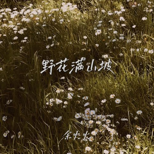 野花满山坡