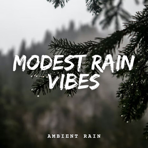 Ambient Rain: Modest Rain Vibes