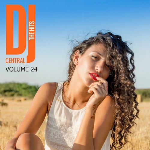 The Hits Vol, 24