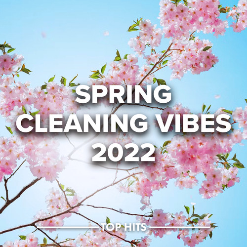 Spring Cleaning Vibes 2022 (Explicit)