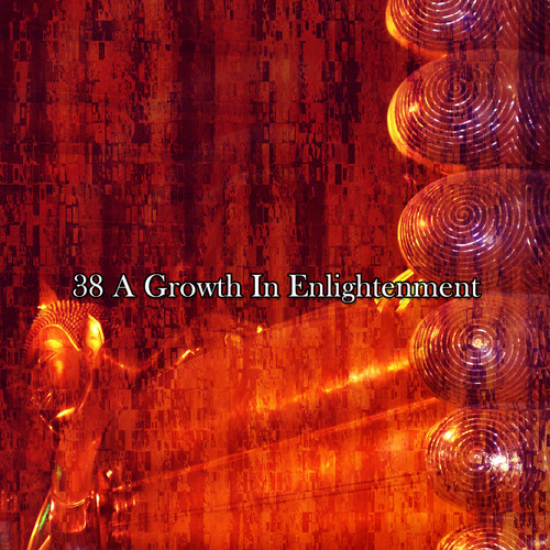 38 A Growth In Enlightenment