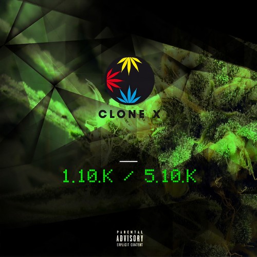 1.10.K / 5.10.K (Indica syndicat) [Explicit]