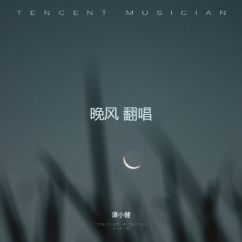 晚风 翻唱