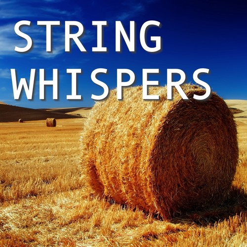 String Whispers