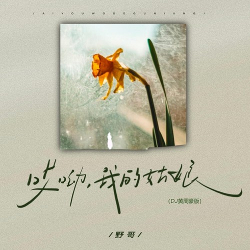 哎呦我的姑娘 (DJ黄周豪版)
