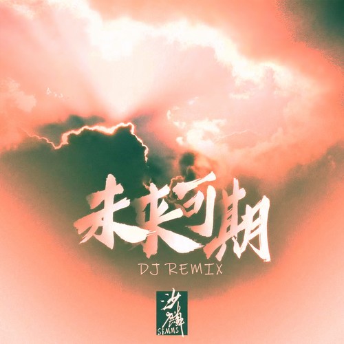 未来可期 (DJ版)