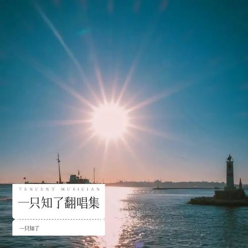 一只知了翻唱集