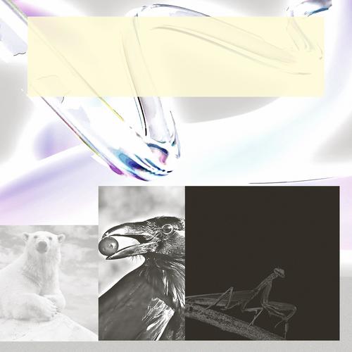Dimension