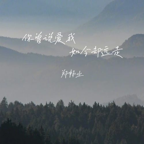 你曾说爱我如今却远走