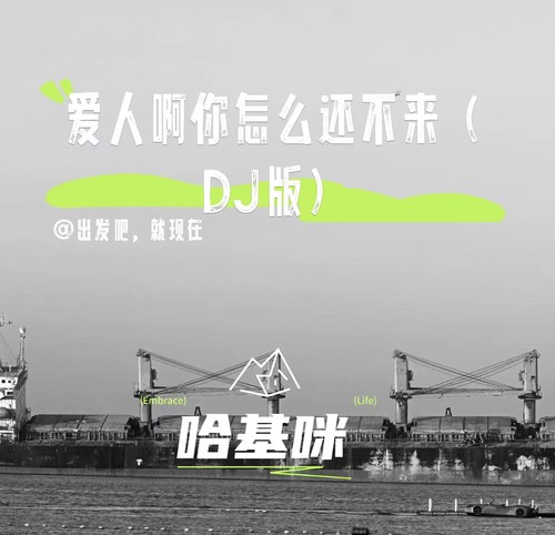爱人啊你怎么还不来（DJ版）