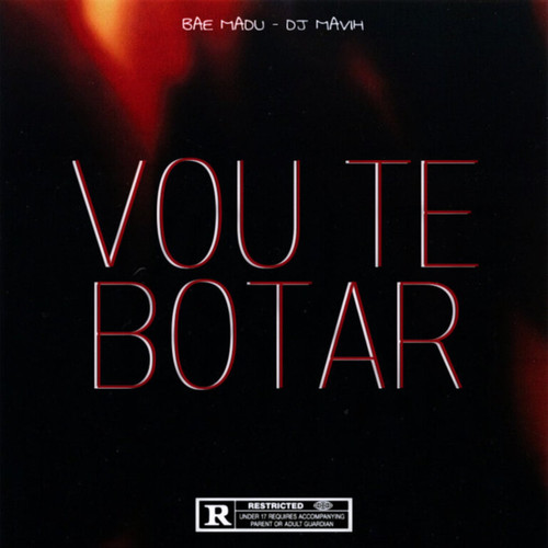 Vou Te Botar (Explicit)