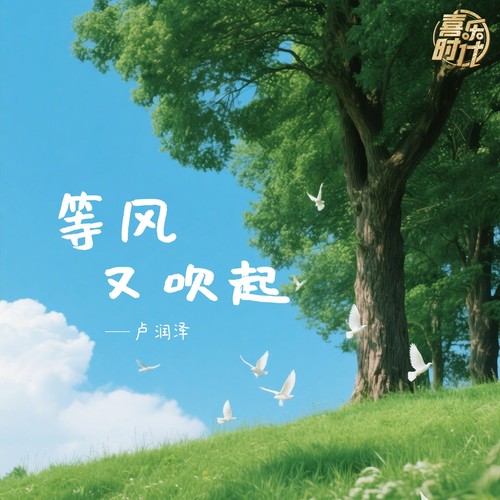 等风又吹起