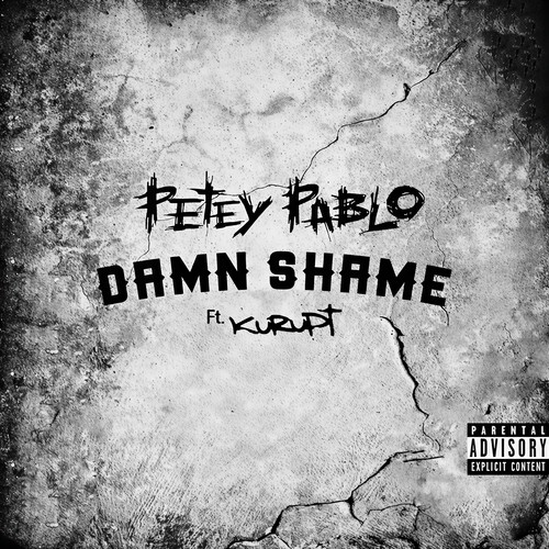 Damn Shame (Explicit)