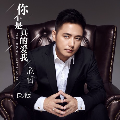 你不是真的爱我（DJ版）