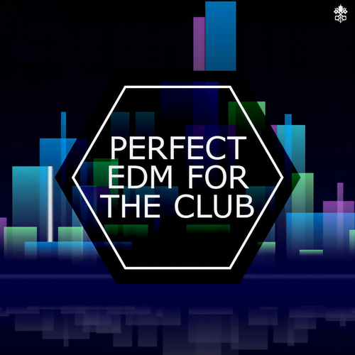 Perfect EDM For The Club