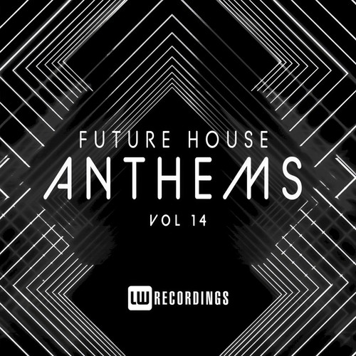 Future House Anthems, Vol. 14