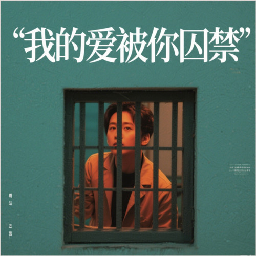我的爱被你囚禁(囚禁版)