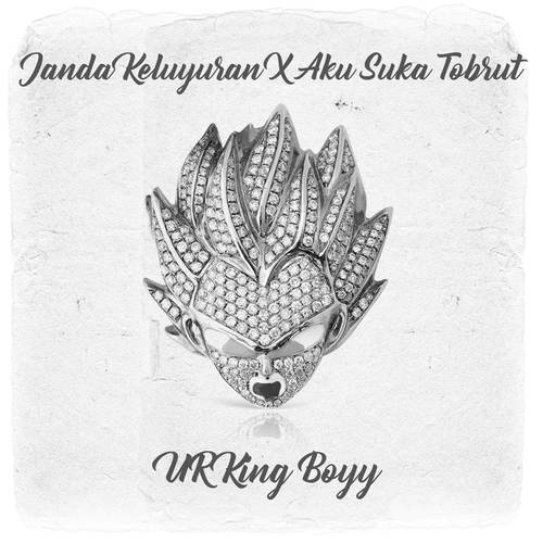 Janda Keluyuran X Aku Suka Tobrut (Remix)