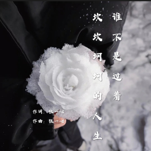 谁不是过着坎坎坷坷的人生