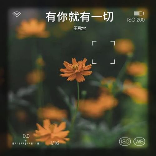 有你就有一切