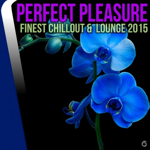 Perfect Pleasure Finest Chillout & Lounge 2015