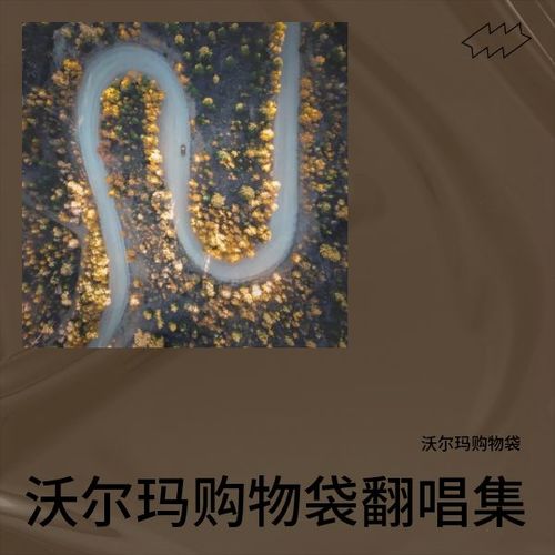 沃尔玛购物袋翻唱集