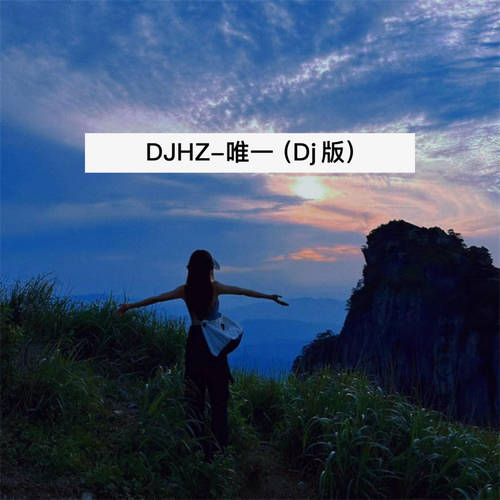 唯一 (Dj版)