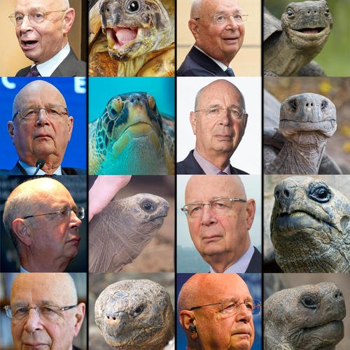 Klaus Schwab Looks Like a Turtle