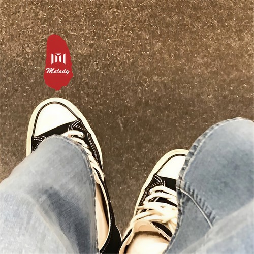 白鸽