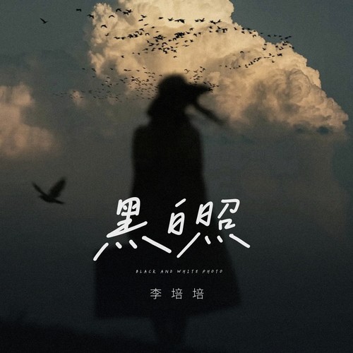 黑白照