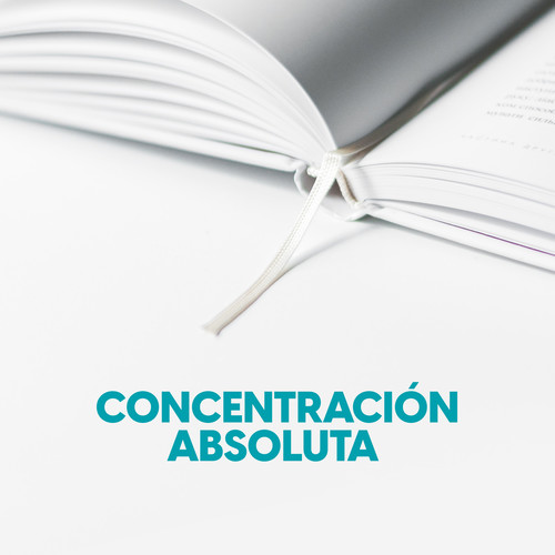 Concentración absoluta (Explicit)