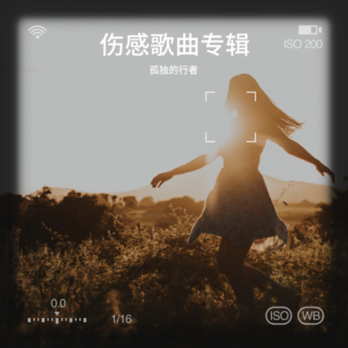 伤感歌曲专辑
