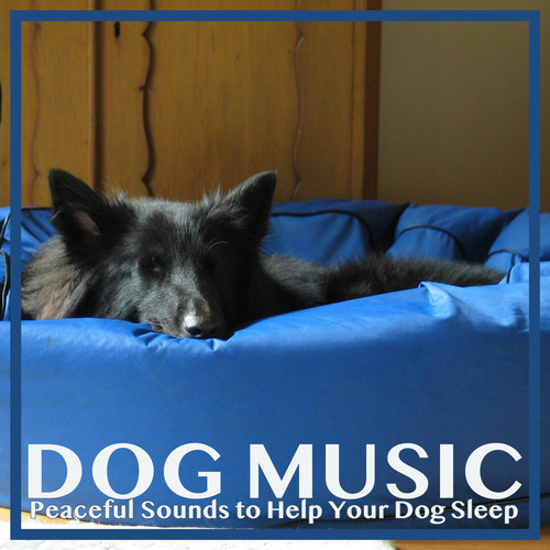 Dog Music: Peaceful Sounds to Help Your Dog Sleep