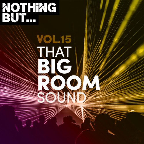 Nothing But... That Big Room Sound, Vol. 15