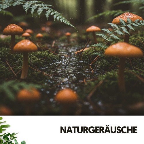 Naturgeräusche: Regnerische Schritte