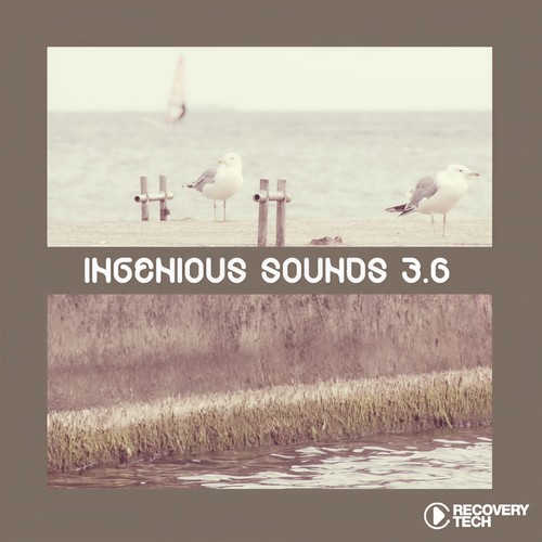 Ingenious Sounds, Vol. 3.6