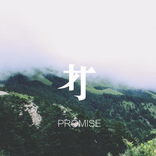 Promise