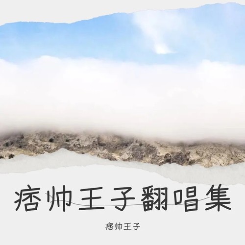 痞帅王子翻唱集