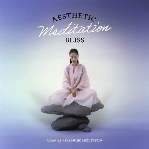 Aesthetic Meditation Bliss