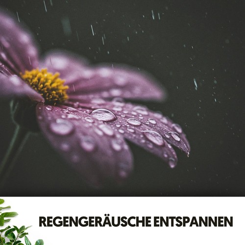 Regengeräusche entspannen: Melodien des Sturms