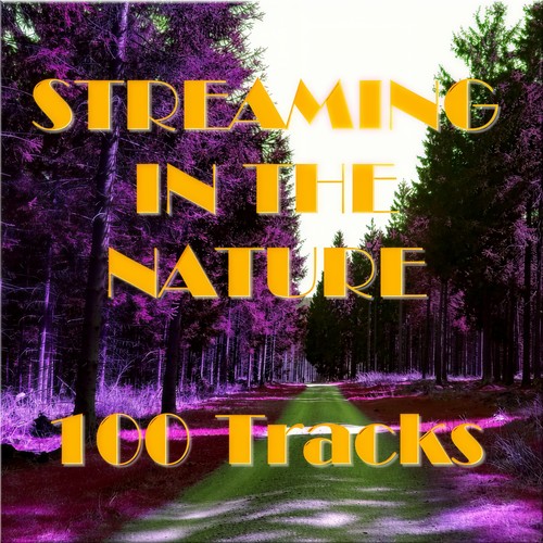 STREAMING IN THE NATURE 100 Tracks